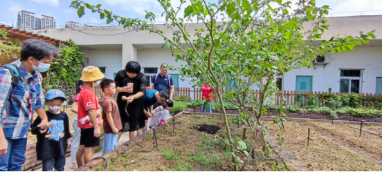 1635910226(1).jpg 1635910226(1).jpg